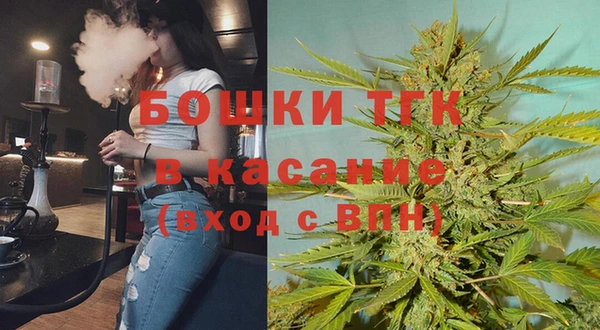 ешки Инта